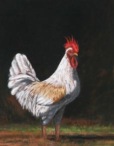 Chicken-Art