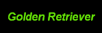 Go to the Golden Retriever Gallery