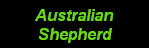Go to the Aussie art gallery