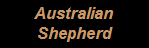 Go to the Aussie art gallery