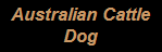Go to the Aussie art gallery